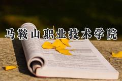 马鞍山职业技术学院2024在江苏录取分数线是多少？最低330分/最高420分