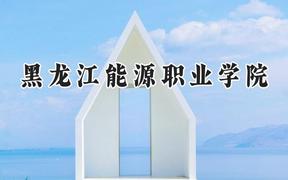 2024黑龙江能源职业学院录取分数线：山西最低196分