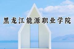 2024黑龙江能源职业学院录取分数线：山西最低196分