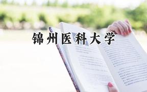 2024锦州医科大学录取分数线：山西最低500分