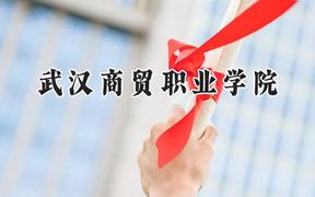 2024武汉商贸职业学院录取分数线：青海最低245分