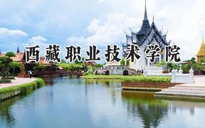 西藏职业技术学院2024在天津录取分数线是多少？最低131分/最高264分