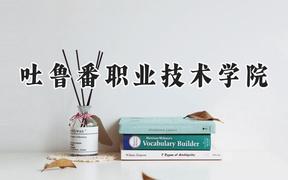 2024吐鲁番职业技术学院录取分数线：宁夏最低280分