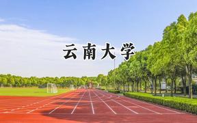 云南大学2024在浙江录取分数线是多少？最低577分/最高651分