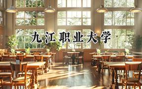 2024九江职业大学录取分数线：青海最低305分