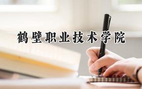 2024鹤壁职业技术学院录取分数线：青海最低253分