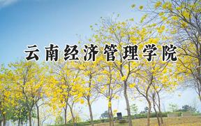 云南经济管理学院2024在辽宁录取分数线是多少？最低304分/最高441分