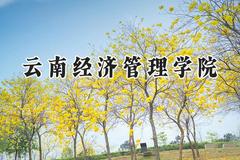 云南经济管理学院2024在辽宁录取分数线是多少？最低304分/最高441分