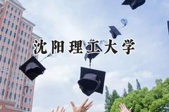沈阳理工大学2024在辽宁录取分数线是多少？最低441分/最高566分
