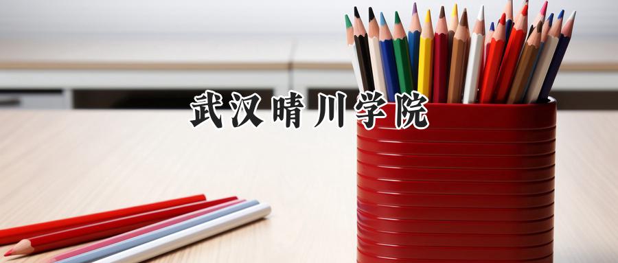 武汉晴川学院