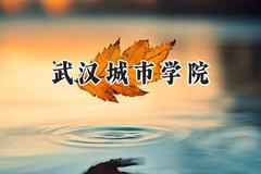 武汉城市学院2024在浙江录取分数线是多少？最低472分/最高559分