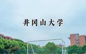 2024井冈山大学录取分数线：江苏最低495分