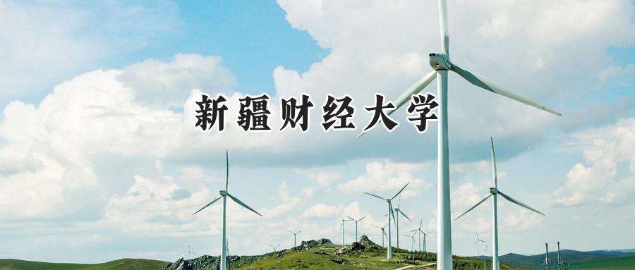 新疆财经大学