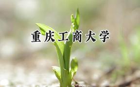 重庆工商大学2024在河北录取分数线是多少？最低529分/最高598分