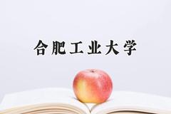 合肥工业大学2024在上海录取分数线是多少？最低520分/最高554分
