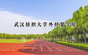 武汉纺织大学外经贸学院2024在内蒙古录取分数线是多少？最低246分/最高401分
