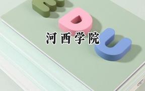 2024河西学院录取分数线：青海最低355分