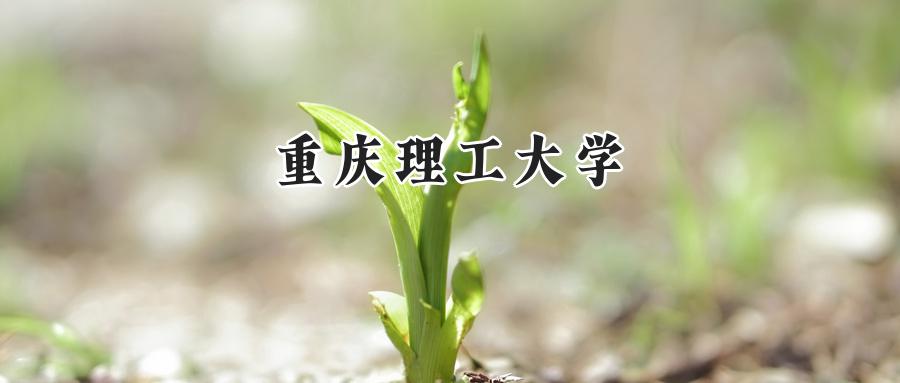 重庆理工大学