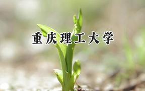 2024重庆理工大学录取分数线：天津最低576分