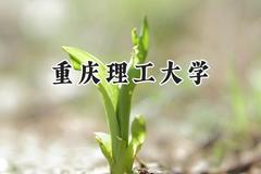 2024重庆理工大学录取分数线：天津最低576分