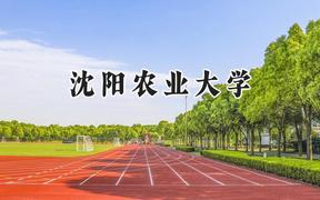 沈阳农业大学2024在浙江录取分数线是多少？最低486分/最高584分