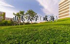 山东大学(威海)2024在山西录取分数线是多少？最低556分/最高613分