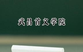 武昌首义学院2024在上海录取分数线是多少？最低408分/最高419分