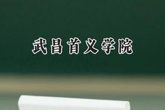 武昌首义学院2024在上海录取分数线是多少？最低408分/最高419分