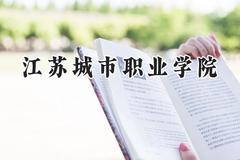 2024江苏城市职业学院录取分数线：江苏最低396分