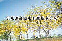 2024宁夏卫生健康职业技术学院录取分数线：宁夏最低323分