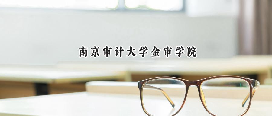 南京审计大学金审学院