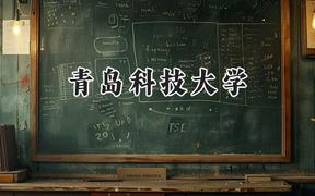 青岛科技大学2024在贵州录取分数线是多少？最低442分/最高560分