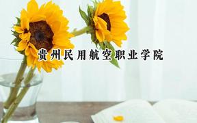 贵州民用航空职业学院2024在浙江录取分数线是多少？最低269分/最高294分