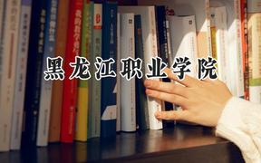 黑龙江职业学院2024在天津录取分数线是多少？最低207分/最高218分