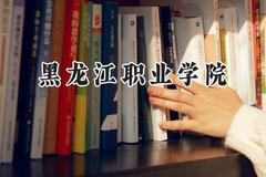 黑龙江职业学院2024在天津录取分数线是多少？最低207分/最高218分