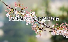 武汉纺织大学外经贸学院2024在浙江录取分数线是多少？最低413分/最高563分