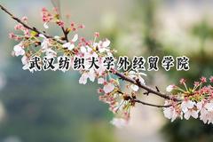 武汉纺织大学外经贸学院2024在浙江录取分数线是多少？最低413分/最高563分
