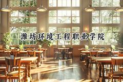 潍坊环境工程职业学院2024在河北录取分数线是多少？最低313分/最高405分