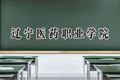 辽宁医药职业学院2024在辽宁录取分数线是多少？最低324分/最高443分