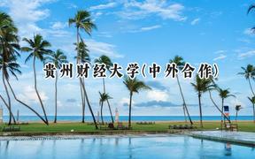 贵州财经大学(中外合作)2024在山西录取分数线是多少？最低453分/最高491分