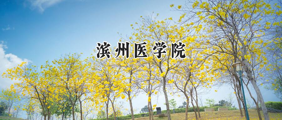 滨州医学院
