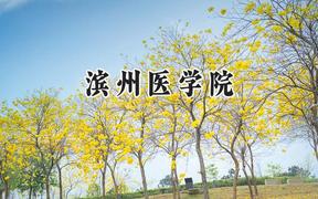 2024滨州医学院录取分数线：宁夏最低433分