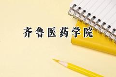 2024齐鲁医药学院录取分数线：山西最低411分
