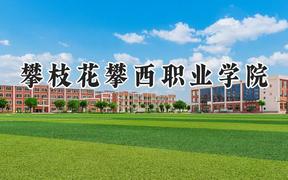 攀枝花攀西职业学院2024在四川录取分数线是多少？最低162分/最高282分