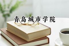 2024青岛城市学院录取分数线：江苏最低464分