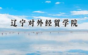 辽宁对外经贸学院2024在浙江录取分数线是多少？最低466分/最高529分