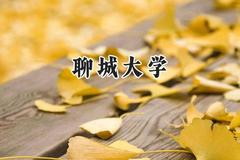 聊城大学2024在四川录取分数线是多少？最低523分/最高534分