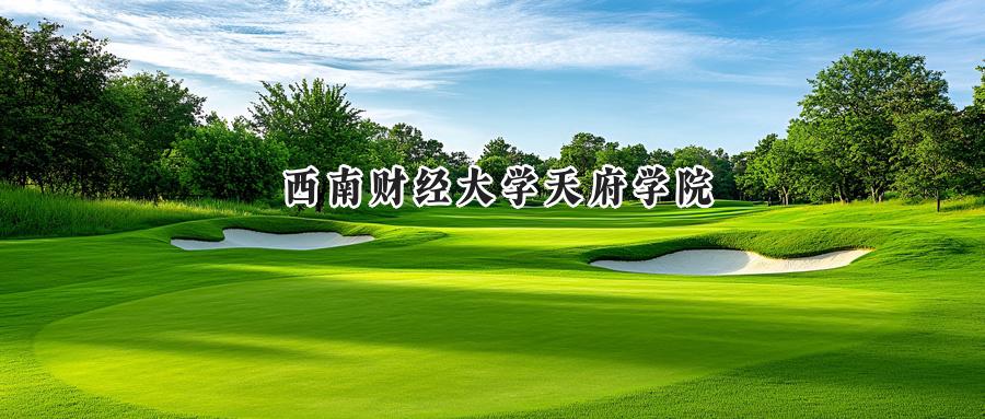 西南财经大学天府学院