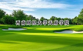 西南财经大学天府学院2024在河北录取分数线是多少？最低305分/最高514分