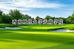 西南财经大学天府学院2024在河北录取分数线是多少？最低305分/最高514分